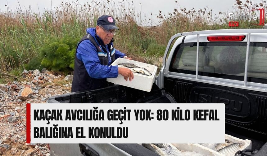 Kaçak Avcılığa Geçit Yok: 80 Kilo Kefal Balığına El Konuldu