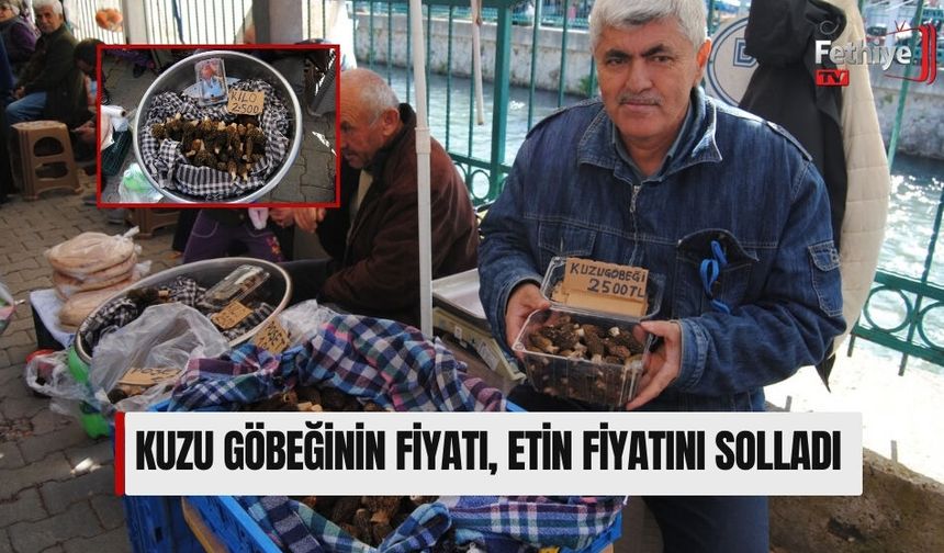 Kuzugöbeği Mantarının Kilosu 2 Bin 500 TL