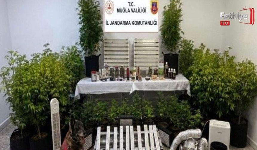 Muğla'da 15'inci Yüzyıla Ait Tevrat Ele Geçirildi