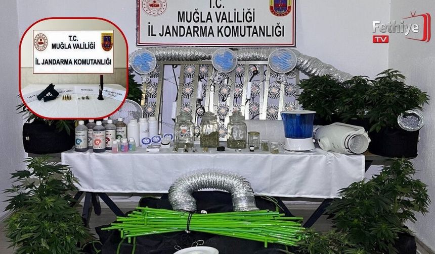 Muğla Jandarmasından Zehir Tacirlerine Mart Ayı Darbesi: 173 Gözaltı