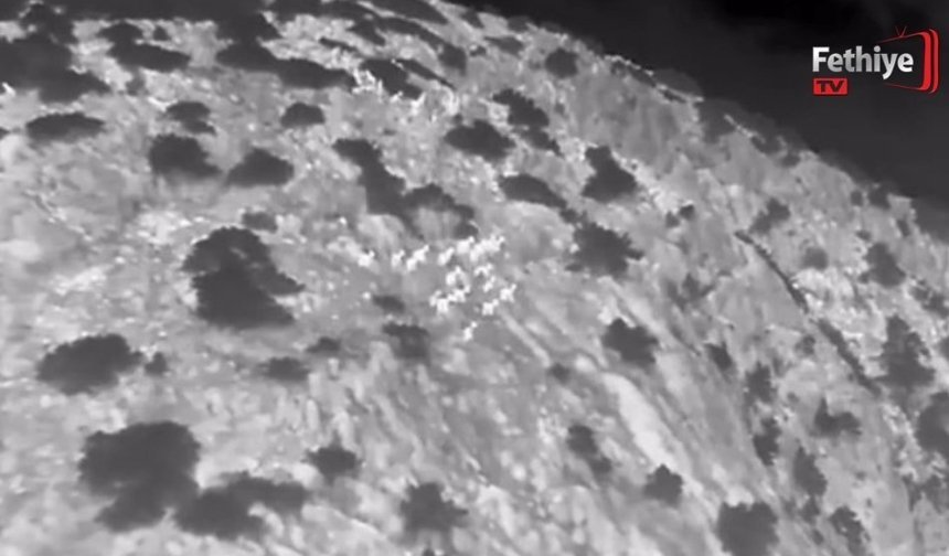 Muğla’da Yaban Keçileri Termal Kameralı Drone İle Görüntülendi