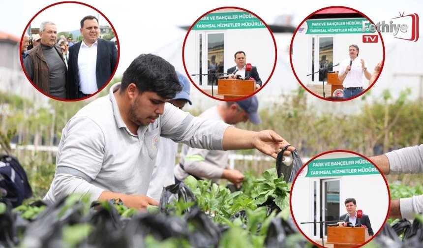 Dalaman’da Üreticilere Fide Desteği Sağlandı