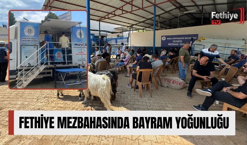 Fethiye Mezbahasında Bayram Yoğunluğu