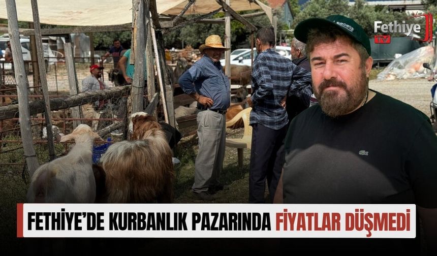 Fethiye’de Kurbanlık Pazarında Fiyatlar Düşmedi