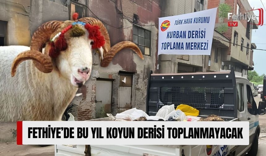 Fethiye’de Bu Yıl Koyun Derisi Toplanmayacak
