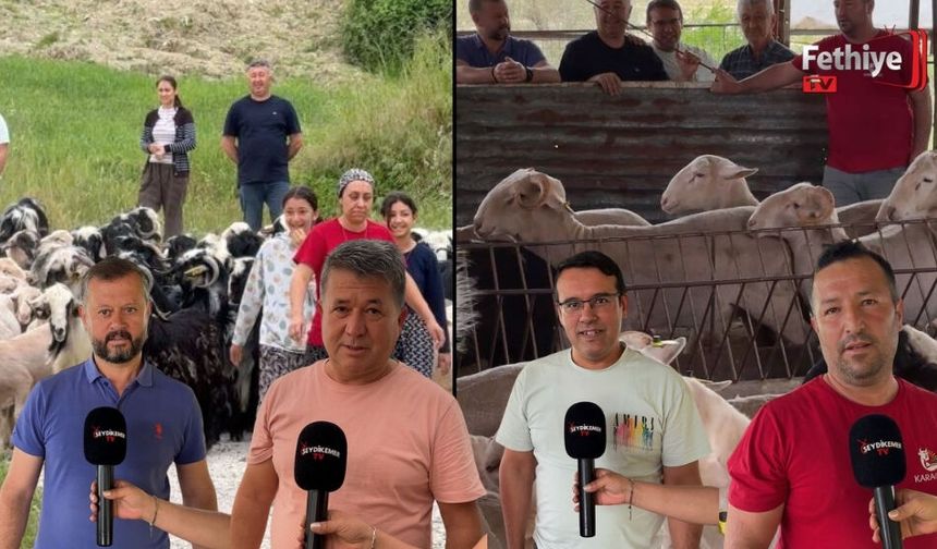 Karaca Kurbanlıkta Kurbanlıklar Satışta