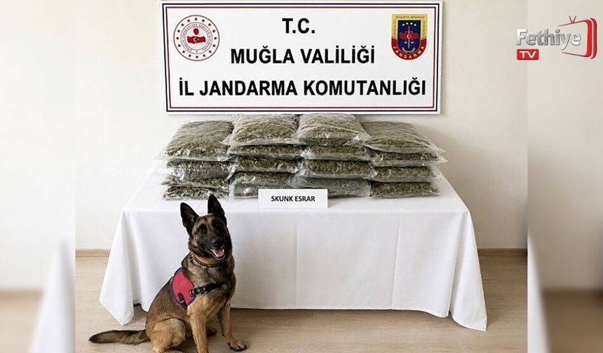 Jandarmadan Uyuşturucuya Geçit Yok