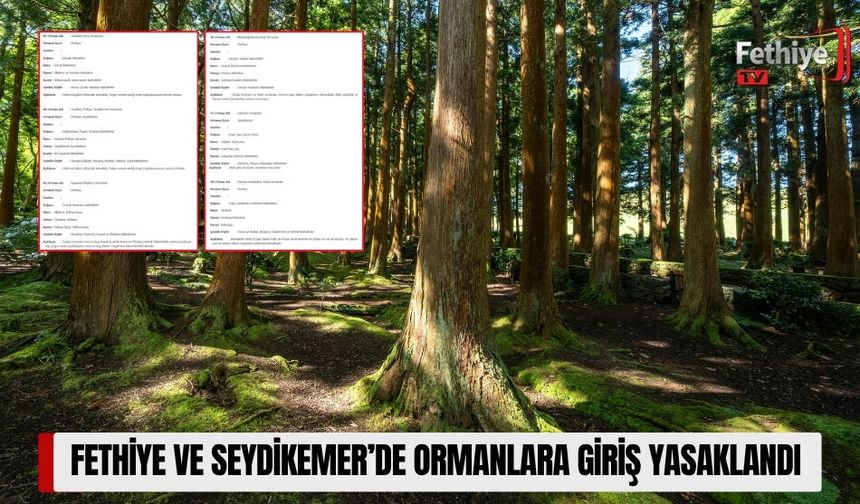 Fethiye ve Seydikemer’de Ormanlara Giriş Yasaklandı