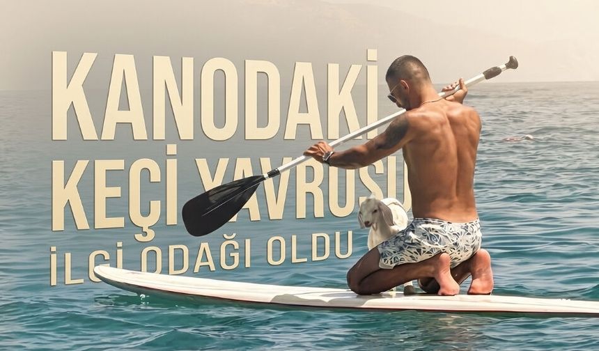 Kanodaki Keçi Yavrusu İlgi Odağı Oldu