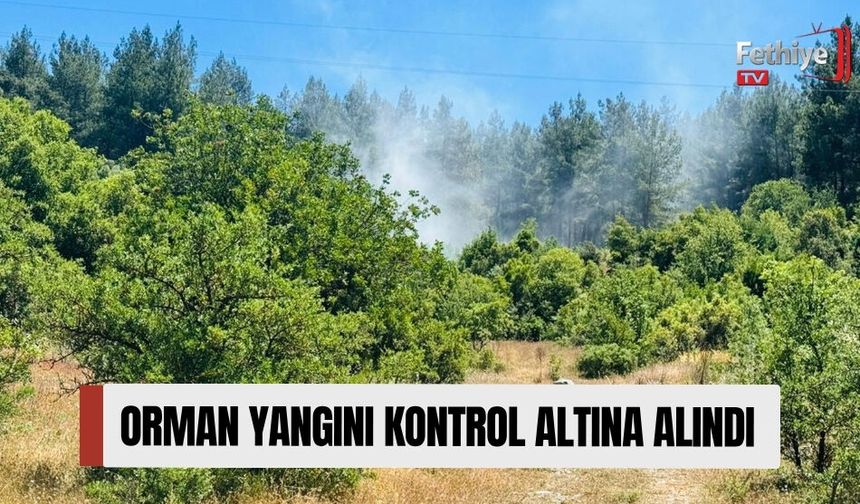 Orman Yangını Kontrol Altına Alındı