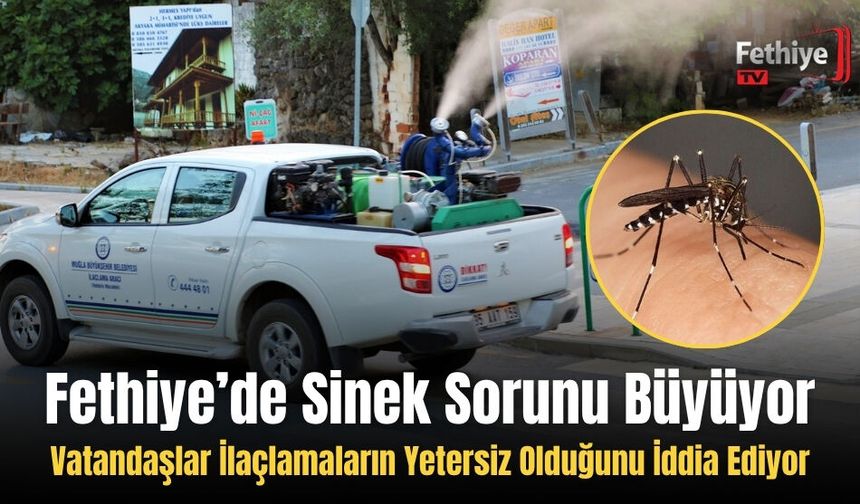 Fethiye’de Sinek Sorunu Büyüyor: Vatandaşlar İlaçlamaların Yetersiz Olduğunu İddia Ediyor
