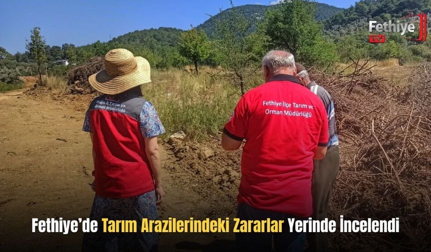 Fethiye’de Tarım Arazilerindeki Zararlar Yerinde İncelendi