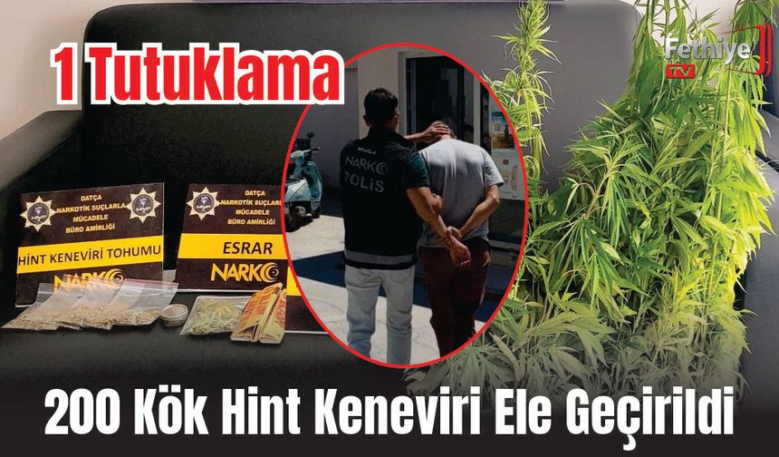 200 Kök Hint Keneviri Ele Geçirildi, 1 Tutuklama