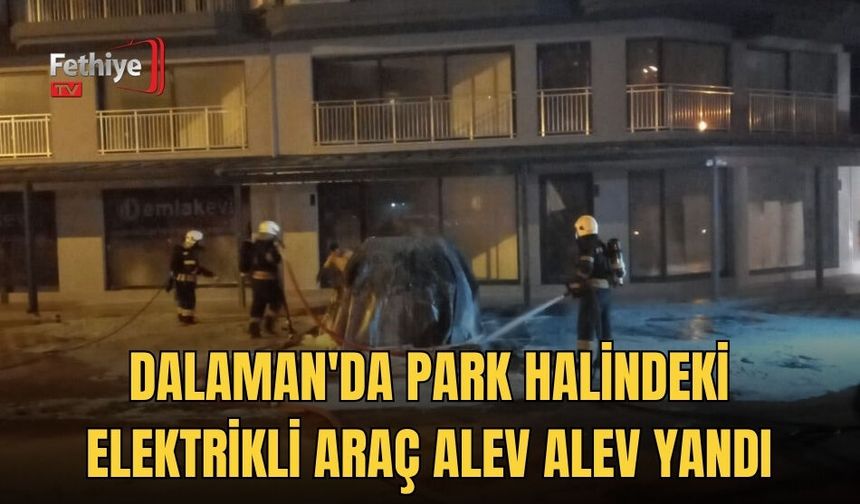 Park Halindeki Elektrikli Araç Alev Alev Yandı