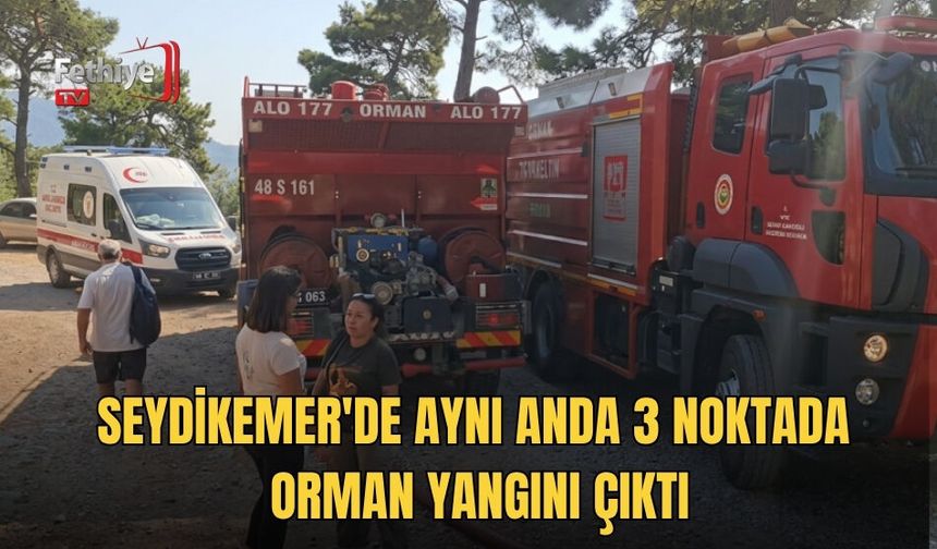 Seydikemer'de Aynı Anda 3 Noktada Orman Yangını Çıktı, Büyümeden Söndürüldü