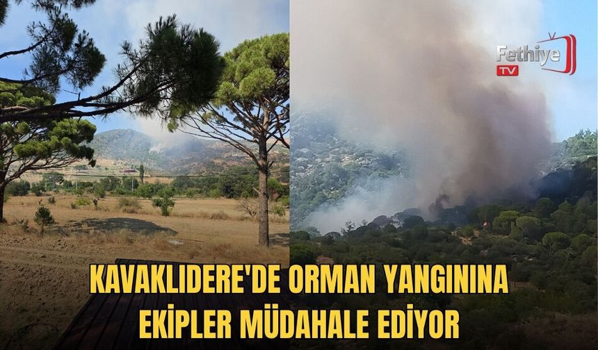 Kavaklıdere'de Orman Yangınına Ekipler Müdahale Ediyor