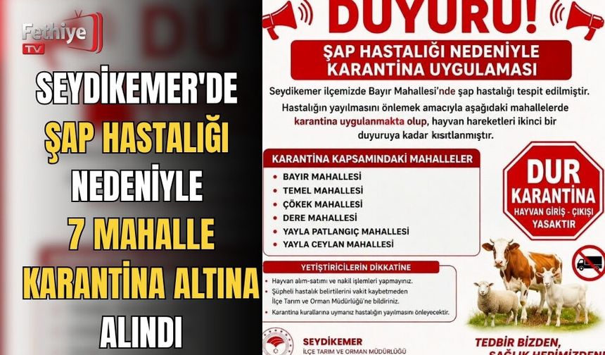 Seydikemer'de Şap Hastalığı Nedeniyle 7 Mahalle Karantina Altına Alındı