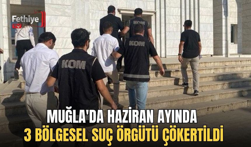 Muğla'da Haziran Ayında 3 Bölgesel Suç Örgütü Çökertildi