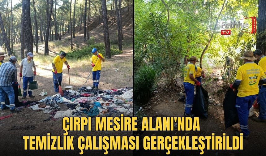 Çırpı Mesire Alanı'nda Temizlik Çalışması Gerçekleştirildi