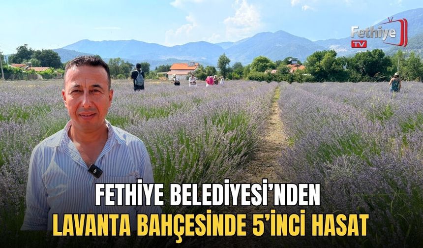 Fethiye Belediyesi’nden Lavanta Bahçesinde 5’inci Hasat