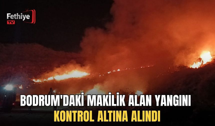 Bodrum'daki Makilik Alan Yangını Kontrol Altına Alındı
