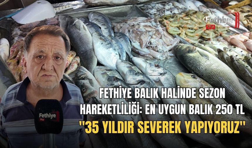 Fethiye Balık Halinde Sezon Hareketliliği: En Uygun Balık 250 TL