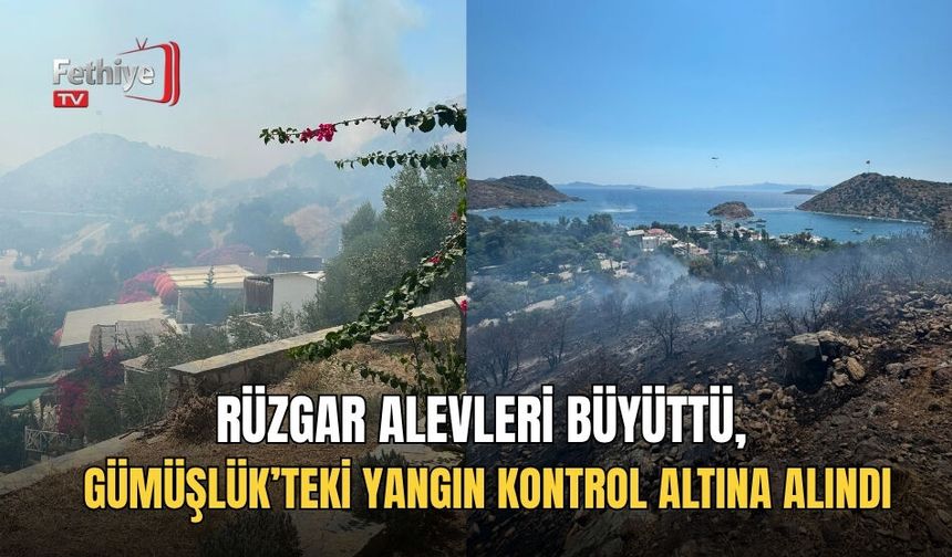 Rüzgar Alevleri Büyüttü, Gümüşlük’teki Yangın Kontrol Altına Alındı