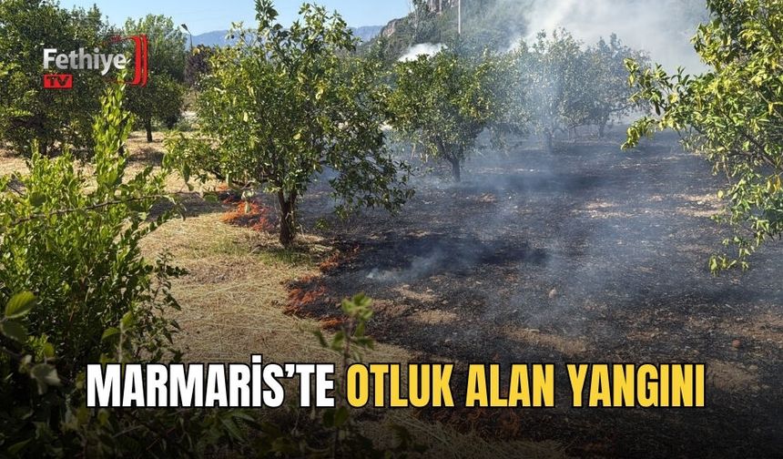 Marmaris’te Otluk Alan Yangını