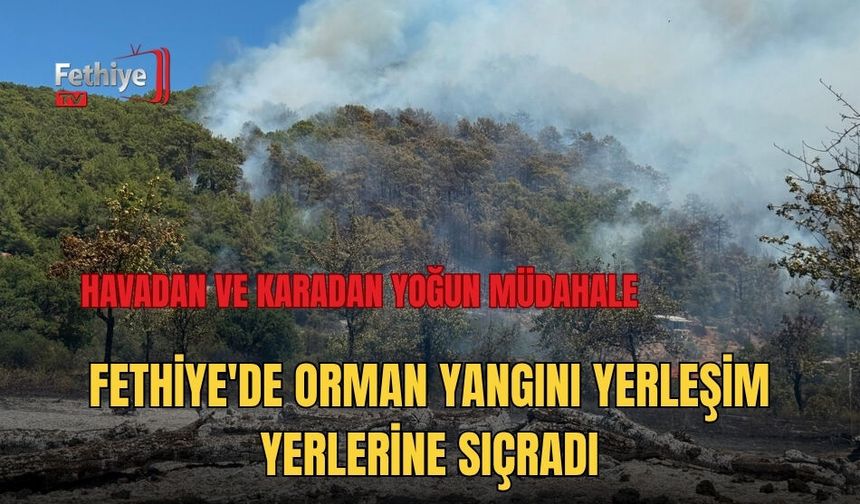 Fethiye'de Orman Yangını Yerleşim Yerlerine Sıçradı