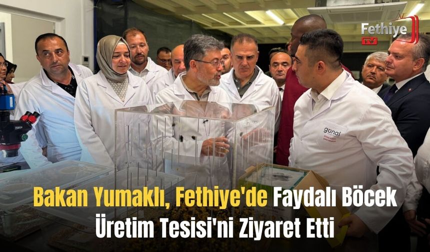 Bakan Yumaklı, Fethiye'de Faydalı Böcek Üretim Tesisi'ni Ziyaret Etti