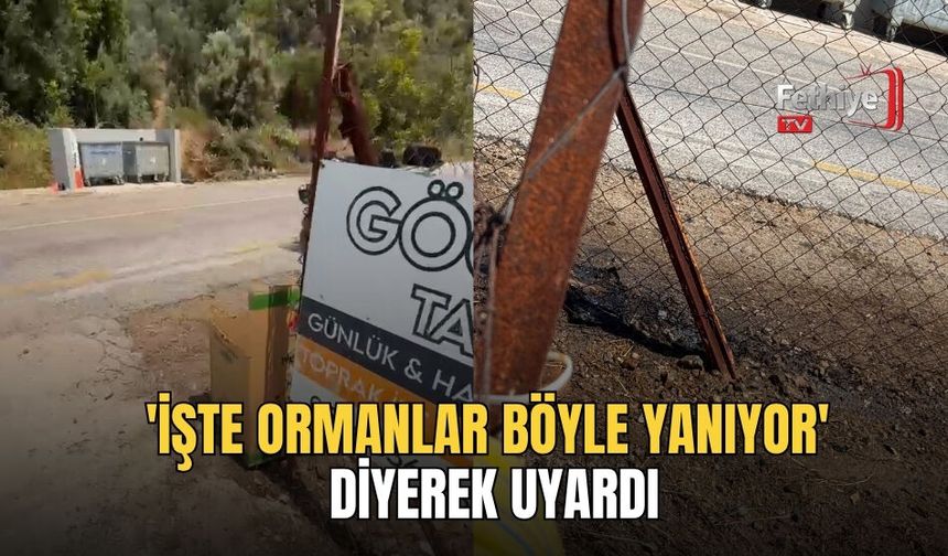 'İşte Ormanlar Böyle Yanıyor' Diyerek Uyardı