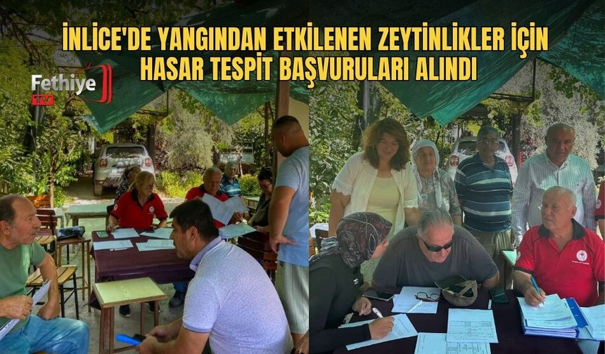 İnlice'de Yangından Zarar Gören Zeytinlikler İçin Hasar Tespit Çalışmaları Başladı