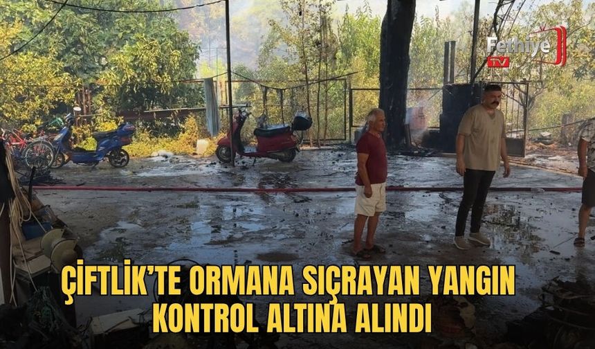 Çiftlik’te Yangın Kontrol Altına Alındı