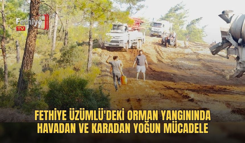 Fethiye Üzümlü'deki Orman Yangınında Havadan Ve Karadan Yoğun Mücadele