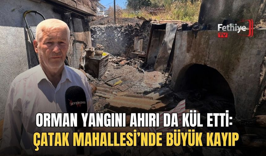Orman Yangını Ahırı Da Kül Etti: Çatak Mahallesi’nde Büyük Kayıp