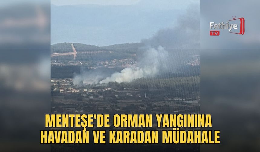 Menteşe'de Orman Yangınına Havadan Ve Karadan Müdahale