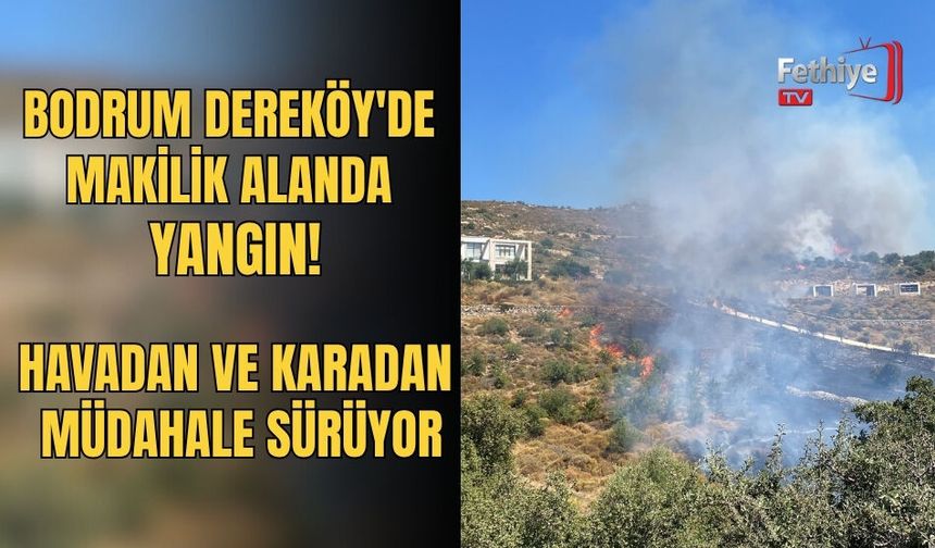 Bodrum Dereköy'de Makilik Alanda Yangın!