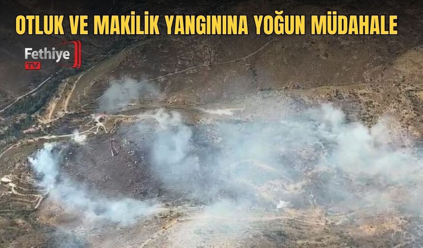Otluk ve Makilik Yangınına Yoğun Müdahale