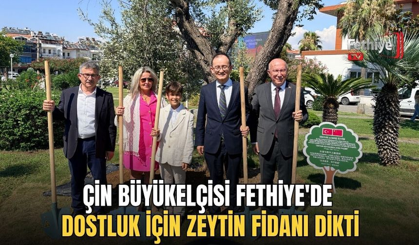 Çin Büyükelçisi Fethiye'de Dostluk İçin Zeytin Fidanı Dikti