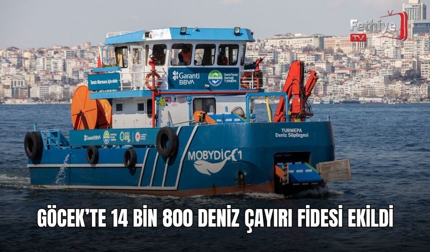 Göcek’te 14 Bin 800 Deniz Çayırı Fidesi Ekildi