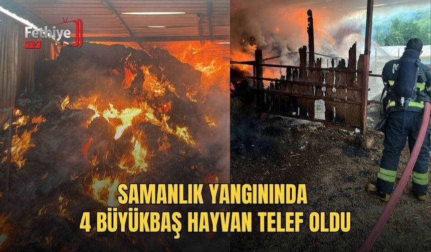 Samanlık Yangınında 4 Büyükbaş Hayvan Telef Oldu
