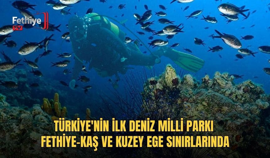 Türkiye'nin İlk Deniz Milli Parkı Fethiye-Kaş Ve Kuzey Ege Sınırlarında