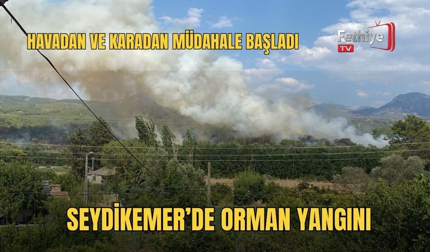 Seydikemer’de Orman Yangını