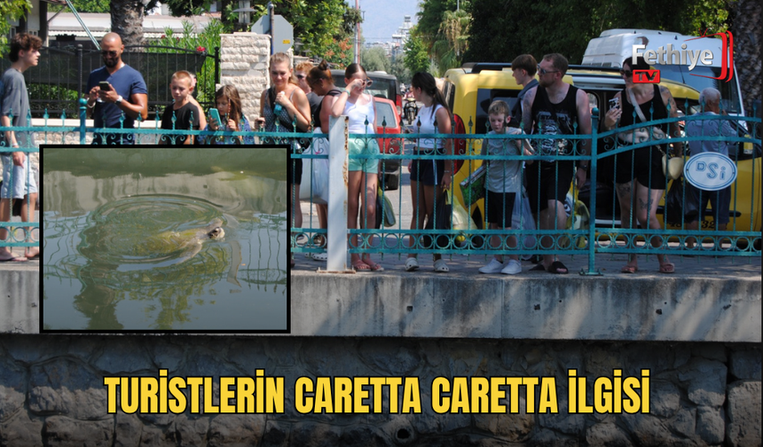 Turistlerin Caretta Caretta İlgisi