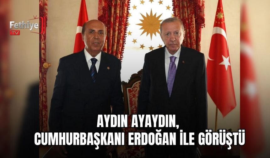 Aydın Ayaydın, Cumhurbaşkanı Erdoğan İle Görüştü