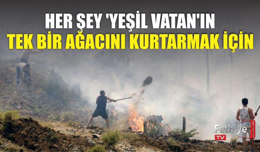 Her Şey 'Yeşil Vatan'ın Tek Bir Ağacını Kurtarmak İçin