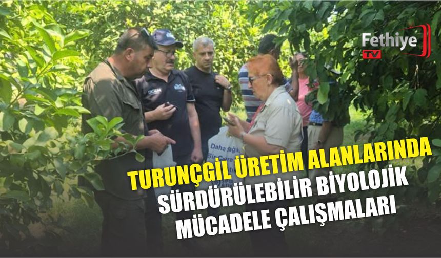 Turunçgil Üretim Alanlarında Sürdürülebilir Biyolojik Mücadele Çalışmaları