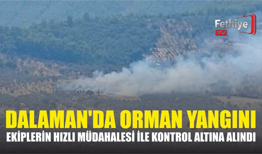 Orman Yangını Ekiplerin Hızlı Müdahalesi İle Kontrol Altına Alındı