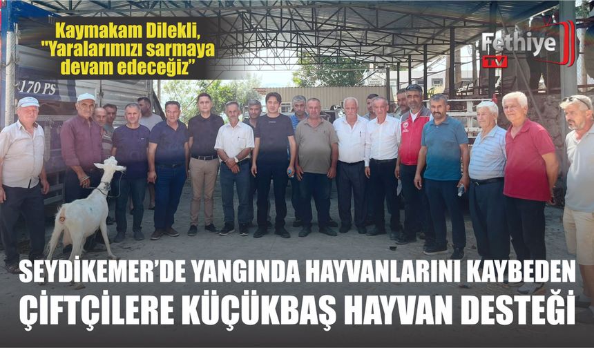 Seydikemer’de Yangında Hayvanlarını Kaybeden Çiftçilere Küçükbaş Hayvan Desteği