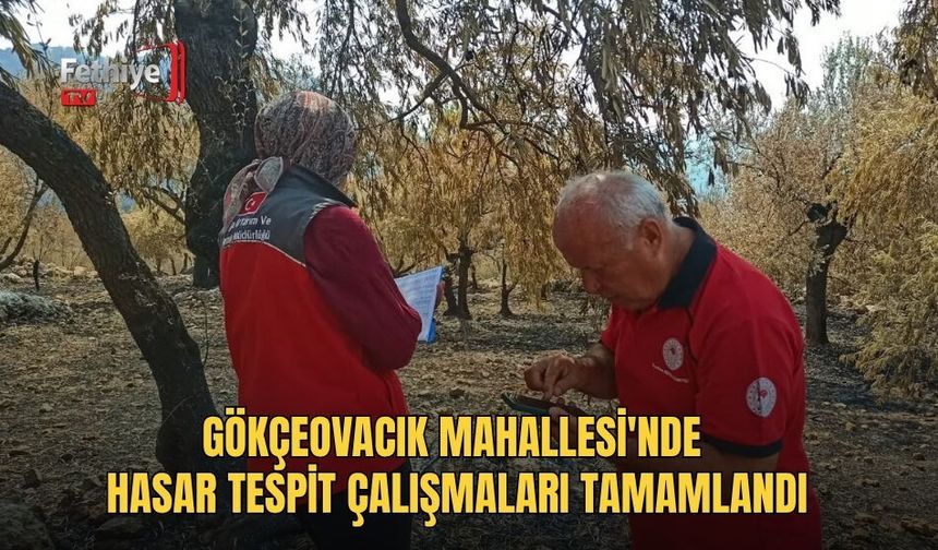 Gökçeovacık Mahallesi'nde Hasar Tespit Çalışmaları Tamamlandı